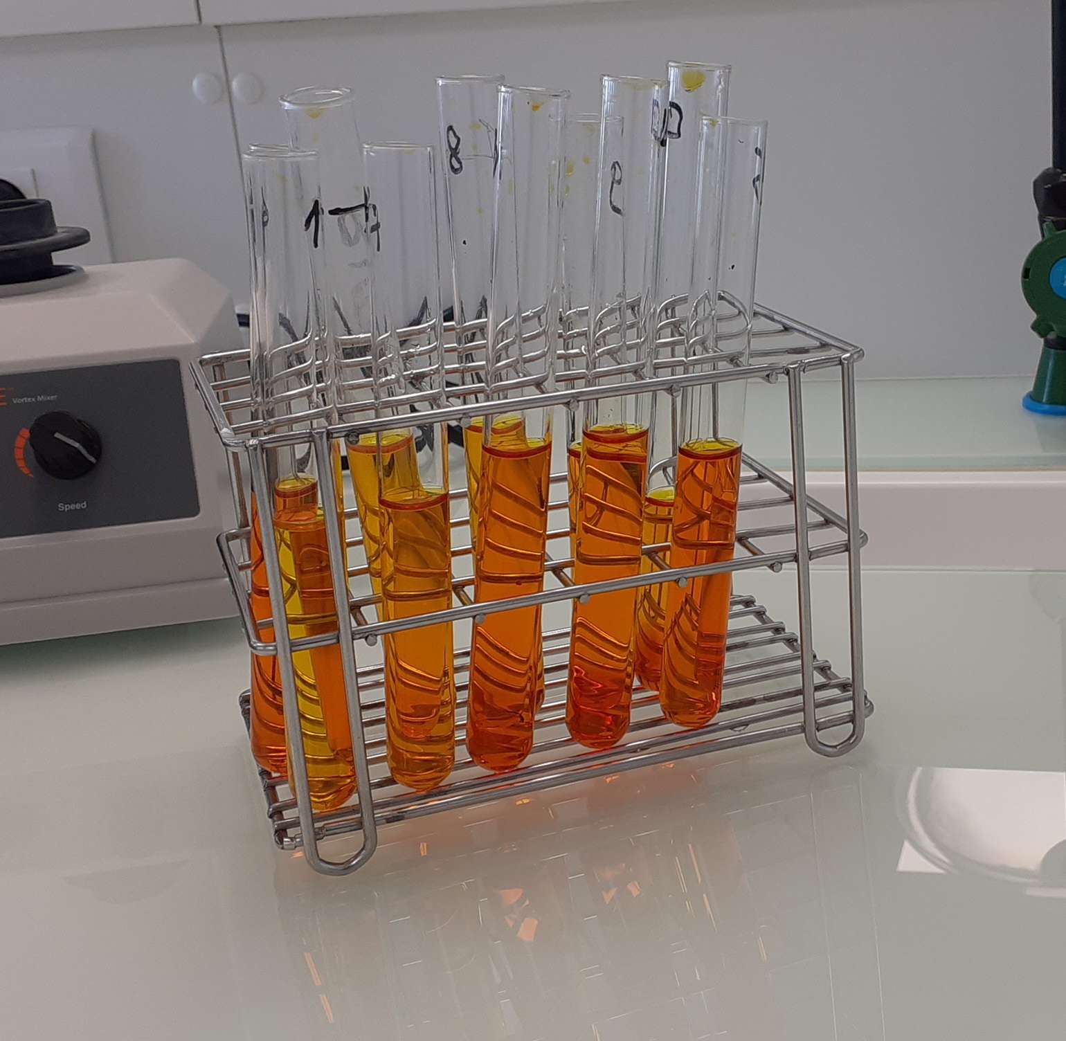 Licence en biologie